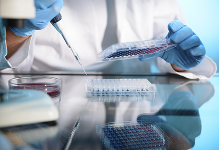 289目录海内特有品种一致性评价抱团才有戏？？