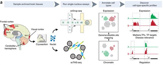 yl23455永利(集团)股份有限公司官网