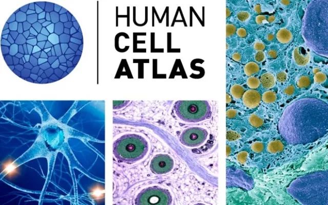 yl23455永利(集团)股份有限公司官网