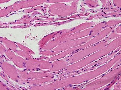 yl23455永利(集团)股份有限公司官网