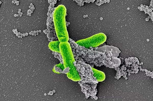 yl23455永利(集团)股份有限公司官网
