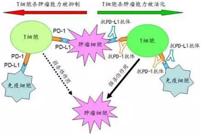 yl23455永利(集团)股份有限公司官网