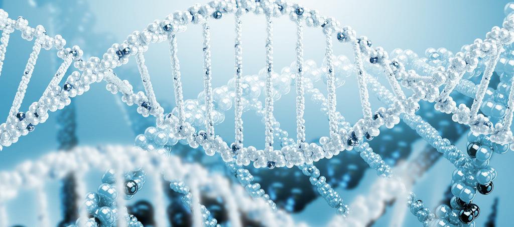 浅谈yl23455永利抗体药物PK剖析要领学设计的思量要点