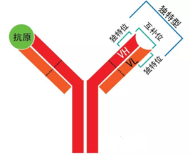 yl23455永利(集团)股份有限公司官网