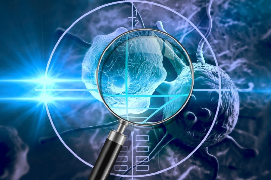 yl23455永利(集团)股份有限公司官网