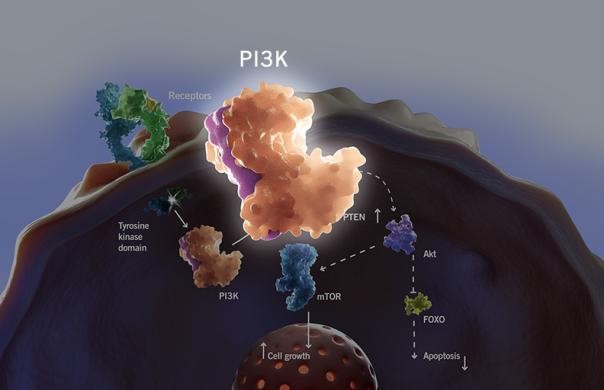 yl23455永利(集团)股份有限公司官网