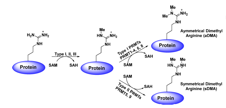 yl23455永利(集团)股份有限公司官网