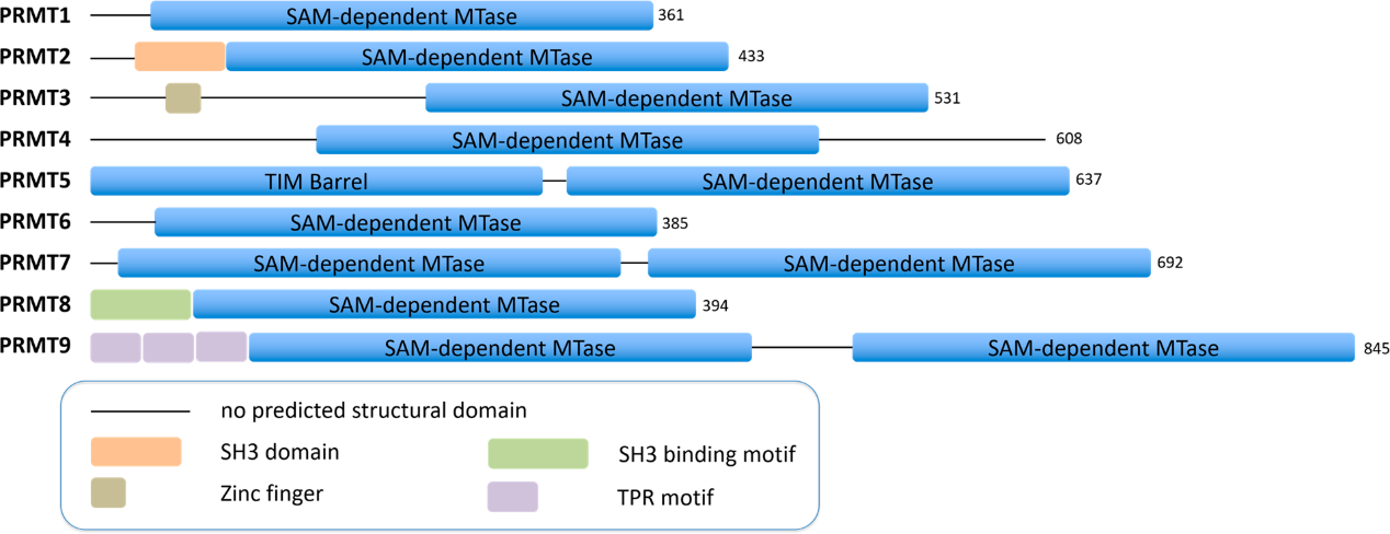 yl23455永利(集团)股份有限公司官网