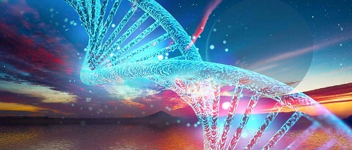 yl23455永利(集团)股份有限公司官网