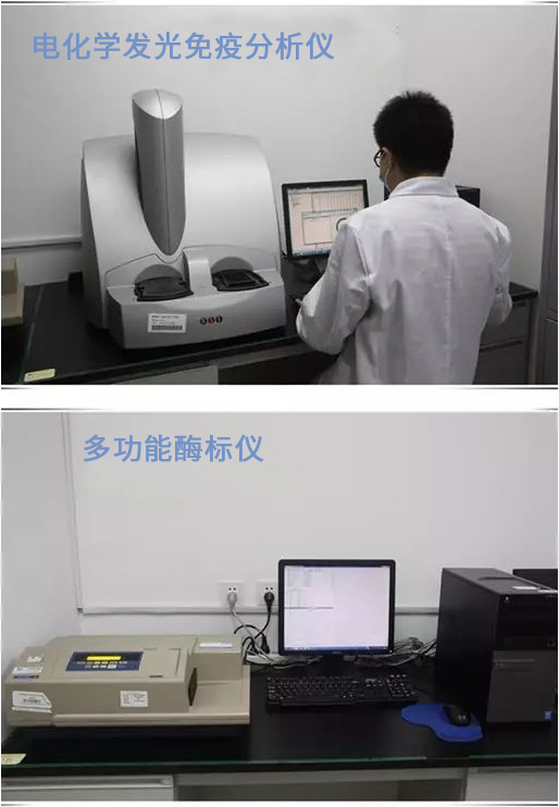 yl23455永利(集团)股份有限公司官网