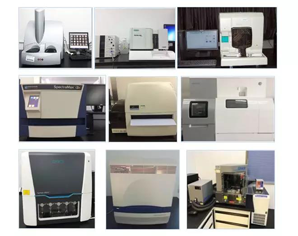 yl23455永利生物手艺药物剖析部分拥有SpectraMaxM4/M5/i3x, MSD, Luminex, Biacore 8K, Envision, Gyrolab，，，ABI7500 qPCR等全方位多功效的手艺平台，，，使用LIMS系统实验周全的实验室信息化治理，，，提供周全切合FDA/CFDA/OECD GLP规范要求的生物手艺药物剖析效劳。。。