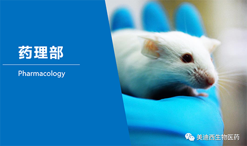 yl23455永利药理部开发了肺癌、结肠癌、胃癌等12种PDX模子。。。。。