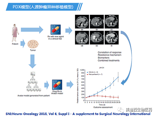 yl23455永利PDX模子