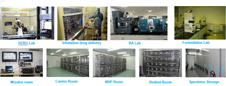 yl23455永利毒理研究部装备