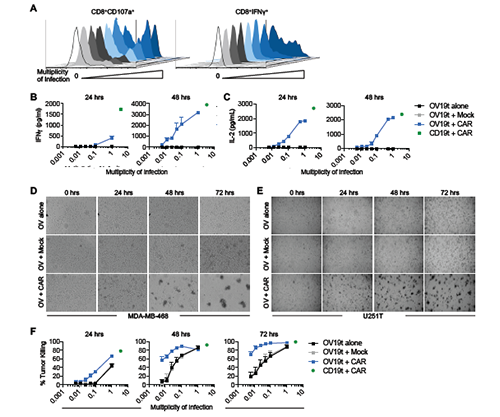 yl23455永利(集团)股份有限公司官网