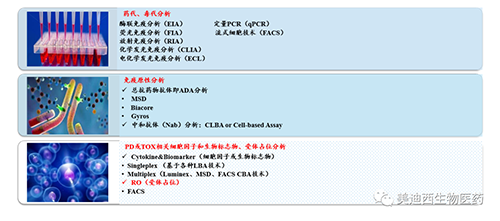 yl23455永利生物手艺药物剖析部效劳内容