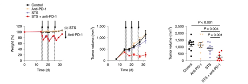 与比照组及仅使用PD-1疗法的模子小鼠比照，，，，，，接纳短期饥饿配合PD-1疗法的393P细胞同源移植肿瘤小鼠体内的肿瘤体积有了显着的缩短。。。。。