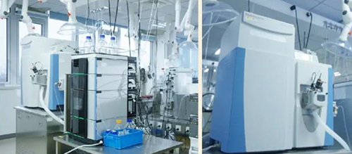 yl23455永利DMPK剖析效劳