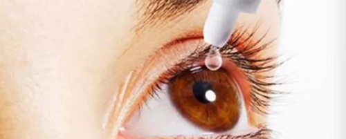 yl23455永利毒理研究