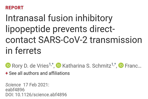 Science速递|鼻喷雾剂可阻止新冠肺炎撒播，，，，，，在雪貂实验中已初获效果