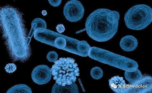 20分钟，，，大大都细菌都可以繁衍一代 yl23455永利生物医药