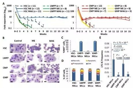 Science子刊：一种FDA批准的抗腹泻药物可有用对抗化疗的耐药性 yl23455永利生物医药