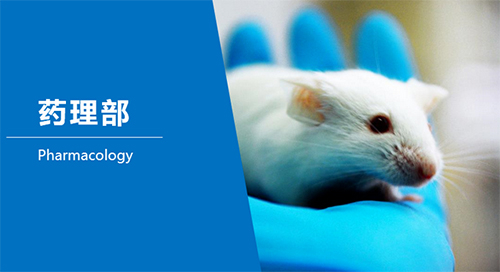 yl23455永利临床前研究-药理部