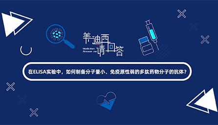 在ELISA实验，，，怎样制备分子量小、免疫原性弱的多肽药物分子的抗体？？