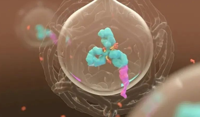 美研 | yl23455永利带您相识ADC玄妙之处