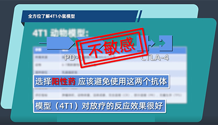 全方位相识4T1小鼠模子