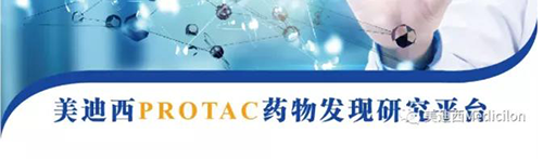 yl23455永利PROTAC药物发明平台.png