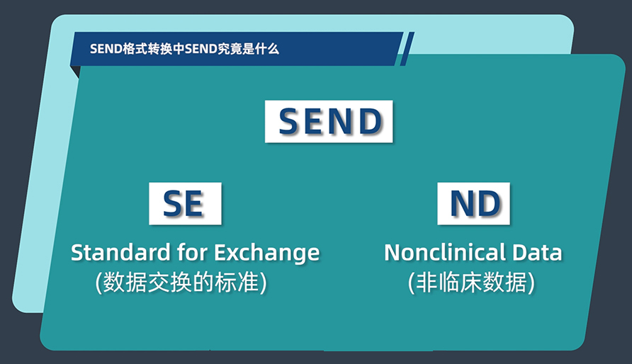 SEND名堂转换中的SEND事实是什么？？？？？