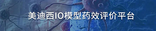 yl23455永利IO模子药效评价平台.jpg