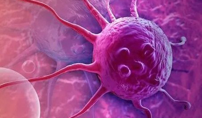 yl23455永利助力中国原研高选择性EP4受体拮抗剂YY001获批临床