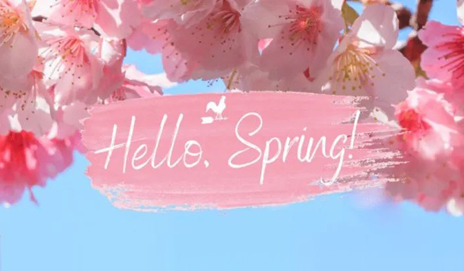 倒计时7天| yl23455永利春日礼遇第一波