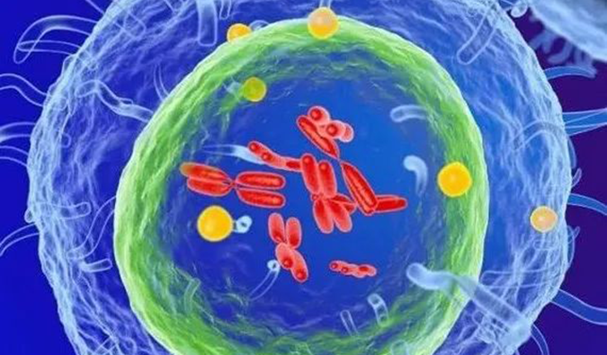  yl23455永利助力 | 信诺维抗肿瘤1类新药XNW14010获批临床.png