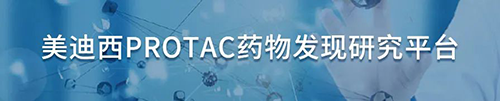 yl23455永利PROTAC药物发明研究平台.png