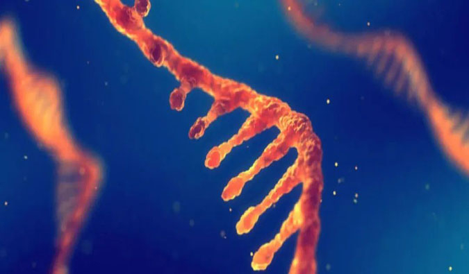 赋能核酸药物疗法，，，，，迎接新药研发第三次浪潮