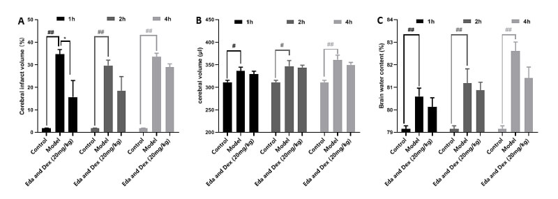 7-治疗时间窗考察-A：TTC；；；；B：脑体积，，，C：脑含水量.jpg