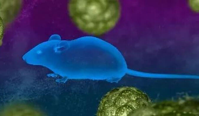 yl23455永利药效效劳赋能First-in-Class泛素化抑制剂研发