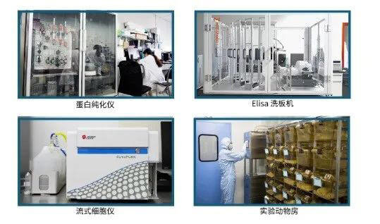 yl23455永利抗体开发平台.jpg