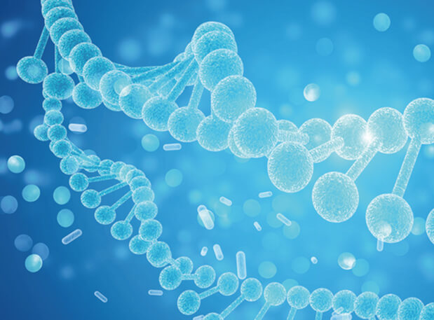 yl23455永利新分子类型钻研会系列 | 一站式赋能核酸药物和疫苗研发及临床专场