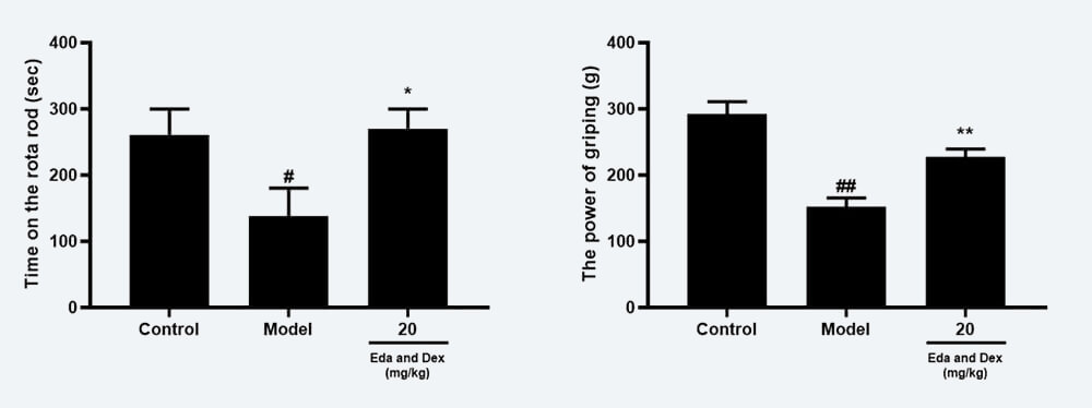 神经功效药效学考察：C 转棒滞留时间；；；；D 抓握力（mean±SEM）.jpg