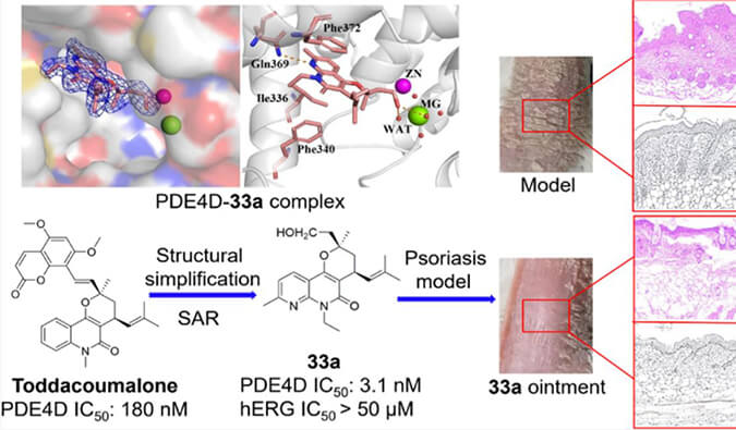 发明用于局部治疗牛皮癣的新型PDE4抑制剂，，，，，，小鼠、大鼠和人肝微粒体的代谢稳固性实验通过yl23455永利测定
