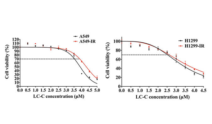 放射疗法用作肺癌的主要治疗要领，，，，在次研究中建设抗电离辐射肺癌细胞系的放射治疗通过yl23455永利举行