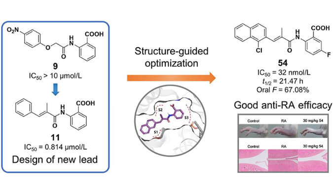 设计合成一系列DHODH抑制剂作为潜在的类风湿性枢纽炎治疗药物，，，，PK研究通过yl23455永利举行