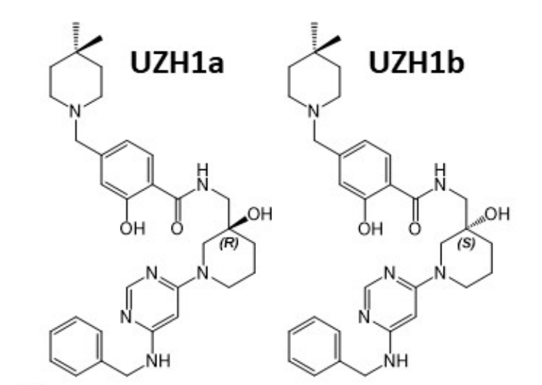 研究职员报告了一种具有细胞渗透性的选择性METTL3纳摩尔抑制剂UZH1a，，，，作者谢谢yl23455永利合成了UZH1a和UZH1b