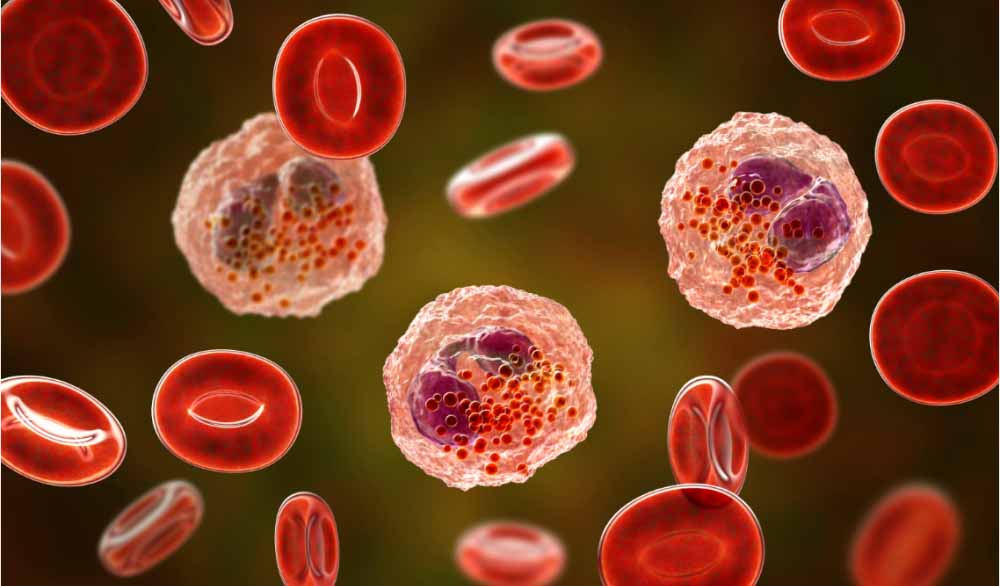 yl23455永利助力 | 全球首创！宇耀生物STAT3双磷酸化抑制剂YY201获批临床.jpg