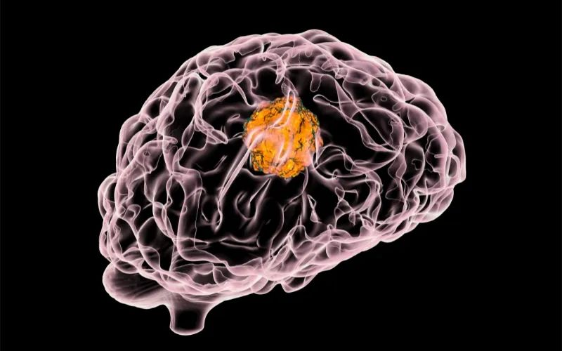 yl23455永利助力 | 璧辰医药ABM-1310获美国FDA孤儿药资格认证，，，，，用于治疗携带BRAF V600突变的脑胶质母细胞瘤患者