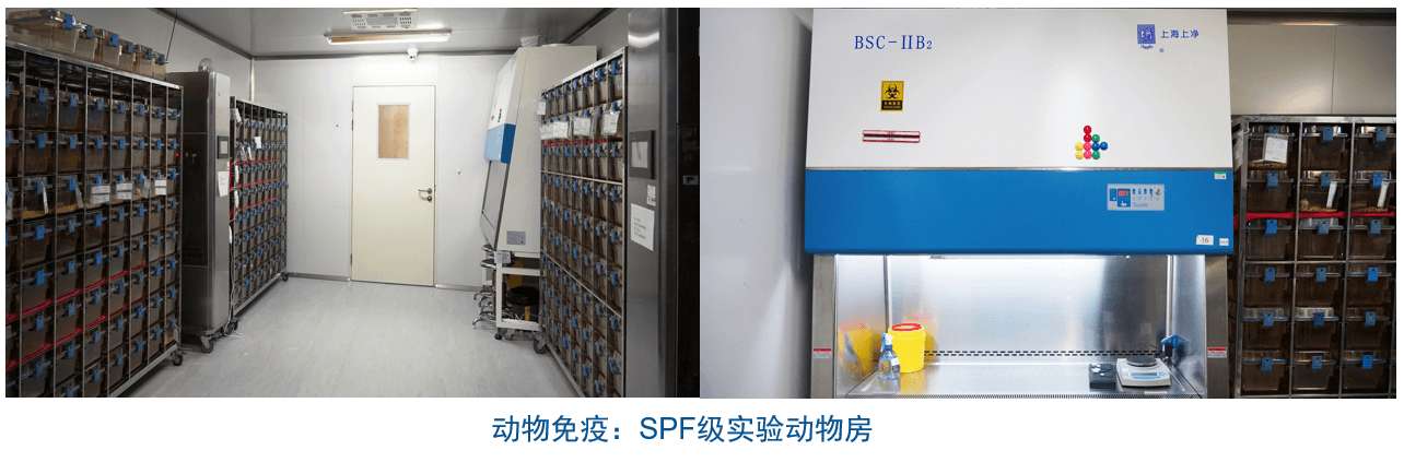 yl23455永利杂交瘤手艺平台装备-动物免疫SPF级实验动物房